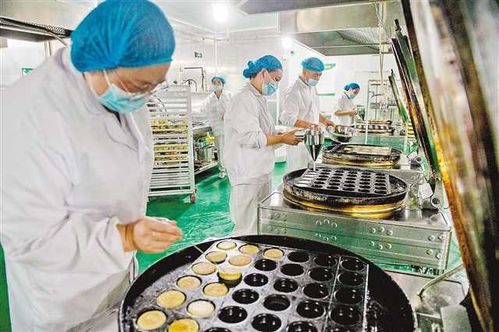 沙坪坝食品中央工厂 科技赋能，为5000名老人定制营养膳食